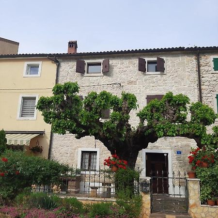 Casa Girasole Villa Buje Bagian luar foto
