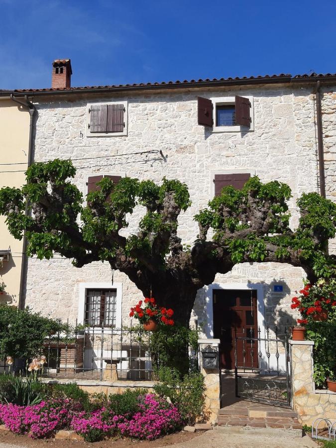Casa Girasole Villa Buje Bagian luar foto